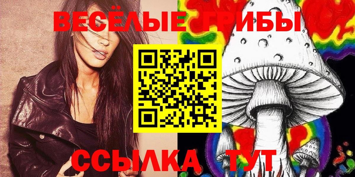 Псилоцибиновые грибы Psilocybe Кунгур