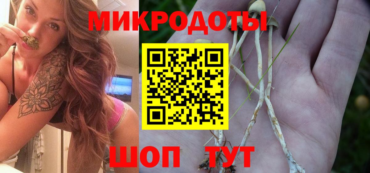 Псилоцибиновые грибы прущие грибы  Вход с VPN  даркнет сайт  Кунгур 